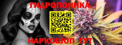 дживик Гатчина