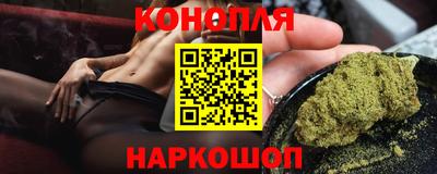 spice Гай