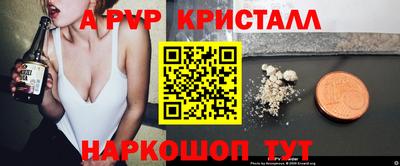 spice Гай