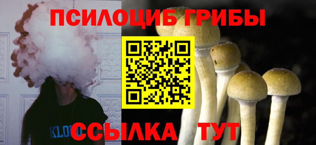Псилоцибиновые грибы прущие грибы Миасс